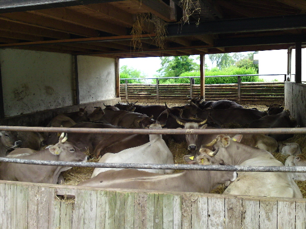 DSC00179a